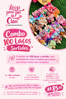 Combo de 100 laços sortidos