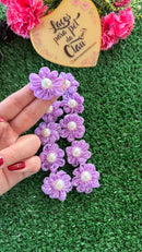 Flor de Tuli /10 U